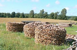 piles of wood